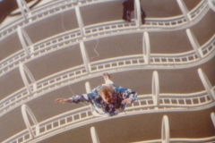 Click on photo for caption and enlarge.