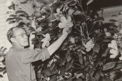 Click on photo for caption and to enlarge.