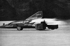 Click on photo for caption and to enlarge.