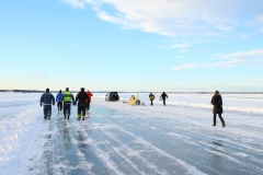 Click on photo to enlarge.