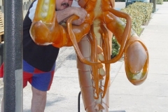 Click on photo for caption and to enlarge.